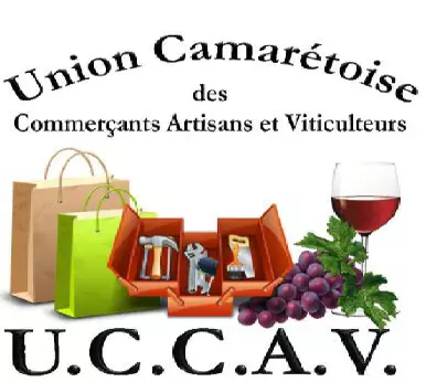 ASSEMBLÉE GÉNÉRALE DE L'UCCAV LE 10 FEVRIER