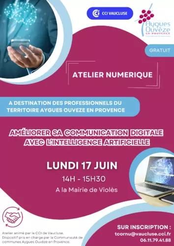 Atelier numérique le lundi 17 juin 2024 à la Mairie de Violès