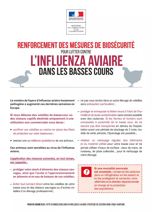 Communiqué de la Préfecture de Vaucluse : INFLUENZA AVIAIRE HAUTEMENT PATHOGÈNE (IAHP). Merci de respecter les consignes listées ci-dessous